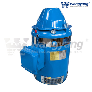 Motor de eje hueco vertical (WP1_IP23)