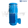 Motor de eje hueco vertical (TEFC_IP54)